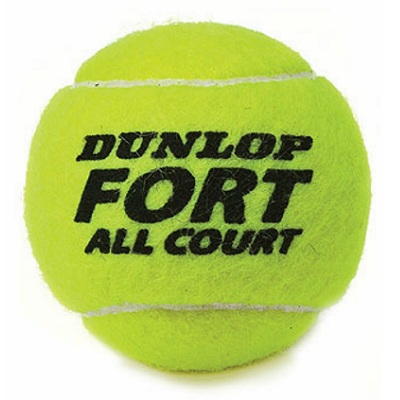 dunlop-fort-all-court-1