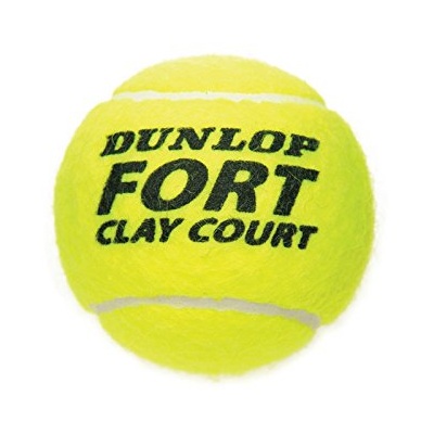 dunlop-fort-clay-court-1